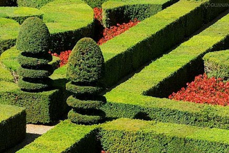 J9.COM·(中国集团)官方网站